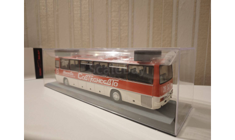 Икарус 250.59 автобус Совтрансавто ClassicBus, масштабная модель, Ikarus, scale43