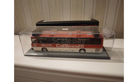 Икарус 250.59 автобус Совтрансавто ClassicBus, масштабная модель, Ikarus, scale43