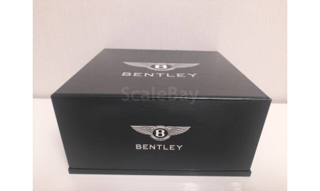 Bentley Continental GT 1/43 minichamps, масштабная модель, scale43