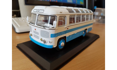 ПАЗ 672, масштабная модель, 1:43, 1/43, Classicbus