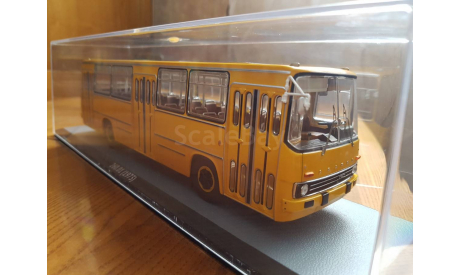 Ikarus 260.01, масштабная модель, Classicbus, scale43