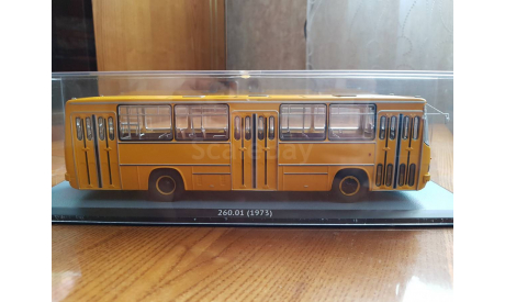 Ikarus 260.01, масштабная модель, Classicbus, scale43