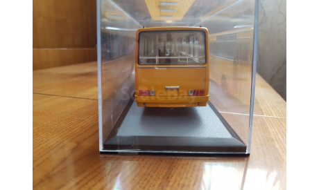 Ikarus 260.01, масштабная модель, Classicbus, scale43