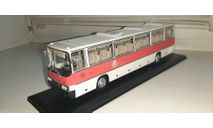 IKARUS 250.58, масштабная модель, Classicbus, scale43